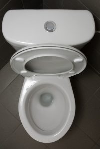 top view of a low flush toilet