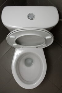 open-toilet